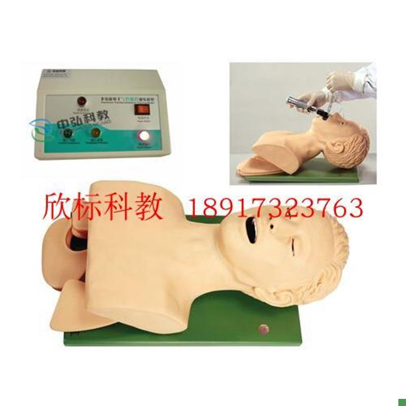 电子人体a气管插管模具成人气管插管护士练习用气管插管教学教具