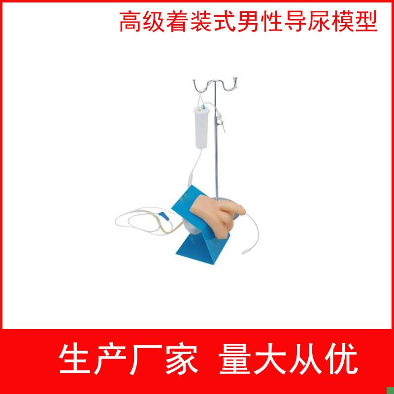 实习护理模型女性导尿模型生殖器教L具着装式男性导尿模型