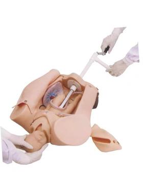 上海医模YM/F53高级手摇分娩机Z制示教模型