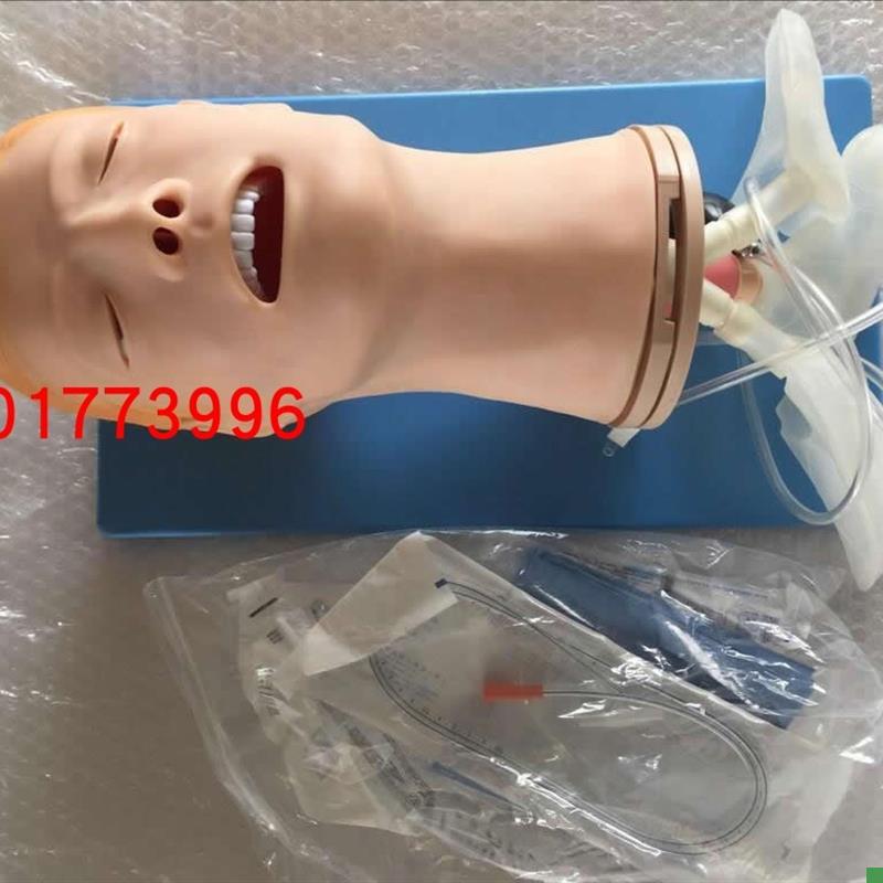 多功能气道管理模型气管插管训练模型颈J动脉搏动成人气道插管模