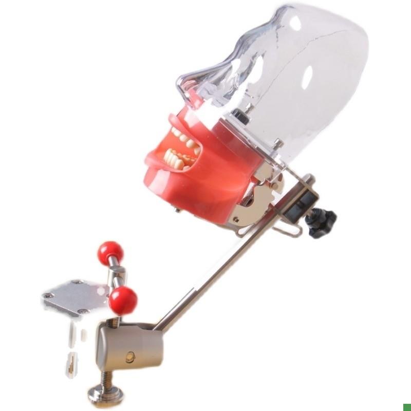 牙科口腔备牙模h型器械工具离体牙备牙种植树脂牙简易仿真头模包