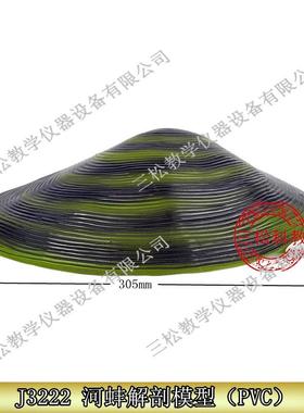 J3222河蚌解剖模型初高A中生物科教仪器医学研究教学演示