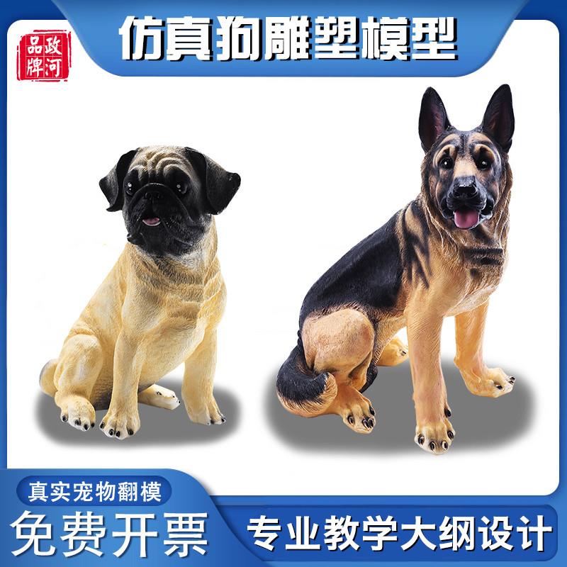 政河狗狗模型宠物店摆件医u院教学用儿童早教玩具仿真雕塑艺术绘