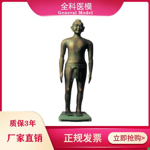 中医学用仿古针灸铜人16y6CM全身展览针灸铜像人体模型