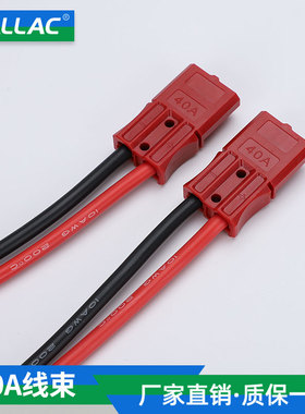LALLAC40A安德插头带线充电大电流连接器电瓶充电4平方线束连接线