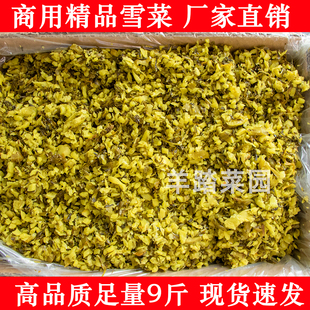 精制雪菜酸菜整箱9斤装多味精品雪里红咸菜包子馅商用大包装