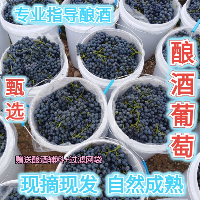 宁夏产区赤霞珠马瑟兰梅洛美乐
