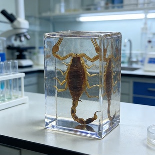 知了蜘蛛水晶滴胶昆虫锹甲天牛琥珀手工蝎子玩具工艺龙虾树脂标本