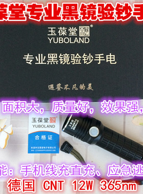 德国12W瓦紫外光365nm黑色滤镜荧光验钞灯手电筒钱币玉石文玩琥珀