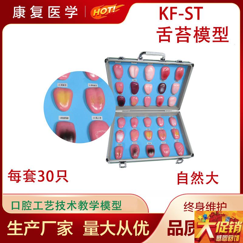 人体舌苔模型舌苔变化过程模型舌苔病变模型口腔S护理医用教学模