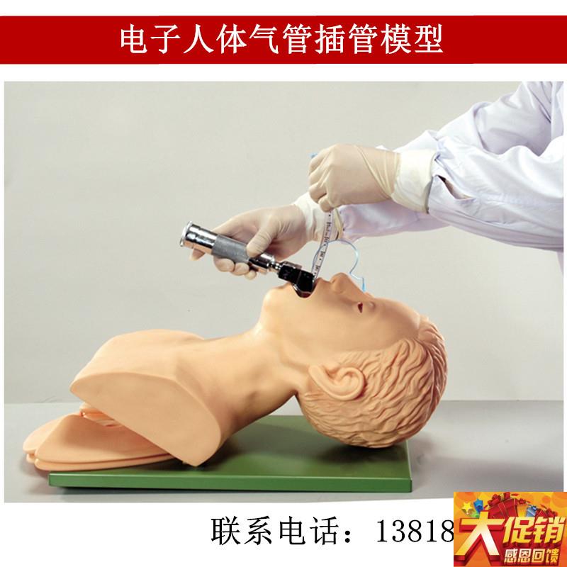 电子人体气管h插管模型(牙齿受压报警)成人电子气管插管教学模型