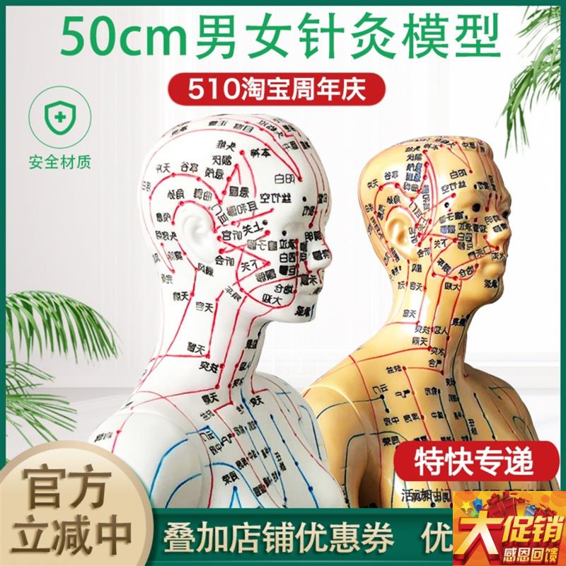 超清人体针灸穴位模型经络通x铜人刻字中医教学人体模型男女小人