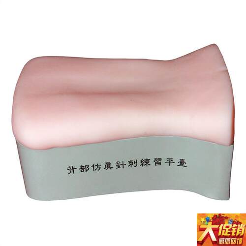 背部仿真针刺练习平台 后背部针灸针刺训练模型 背部W扎针练习模