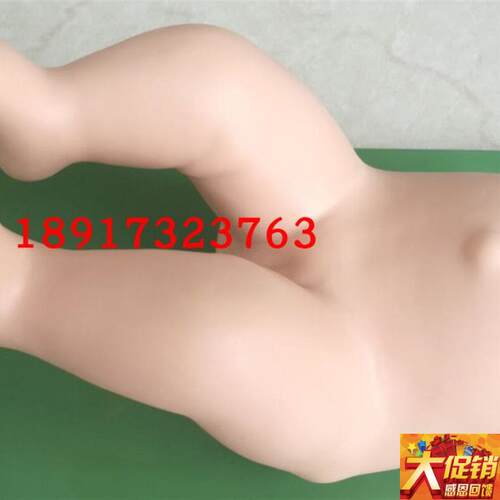 婴儿髋关节复位操作模型 婴儿髋W关节复位模型