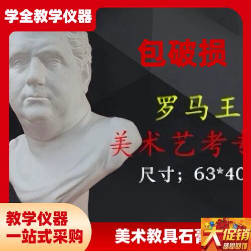 大卫阿勒维纳斯石膏头像美术学生素D描绘画写生雕塑像教具模型摆