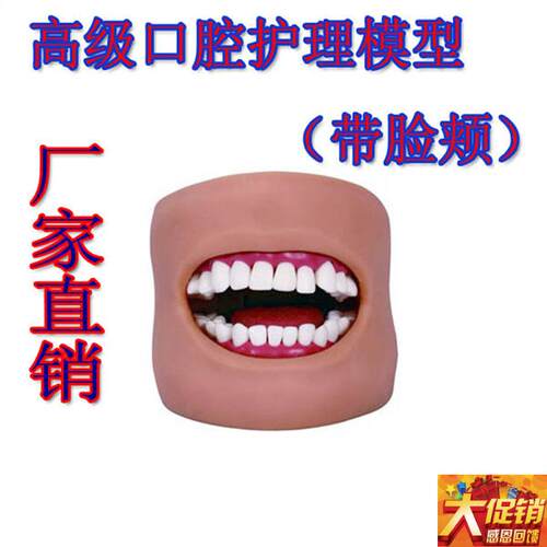 口腔清洁模型(带脸颊)口u腔清洁模型保健模型口腔牙护理刷牙练习