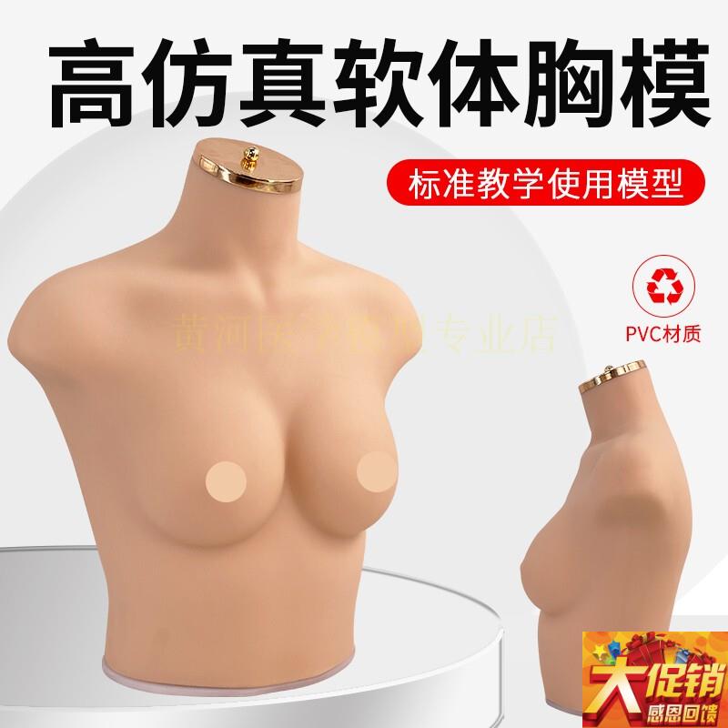 75B/C罩杯内衣模特女胸模 软体模E特道具 仿真人模特内衣展示模特