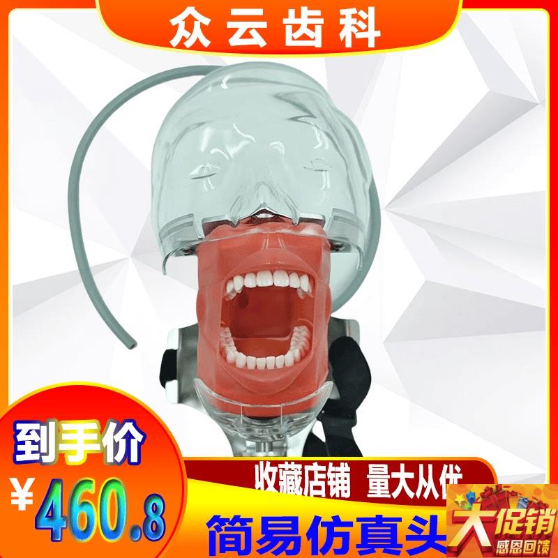 牙科口腔教学仿真模型简易头模树C脂根管牙粒备牙标准头模三合一