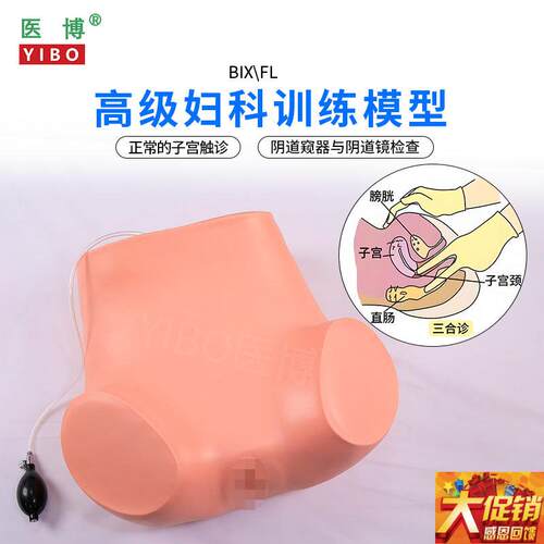 医博BIX-Fl高级妇科检查训练模型 仿真子宫触诊练习检查P模型 医