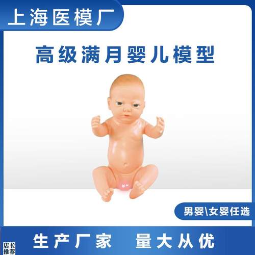 高级满月婴儿模型柔软可爱宝宝A模型月嫂产科护士练习模型男女婴