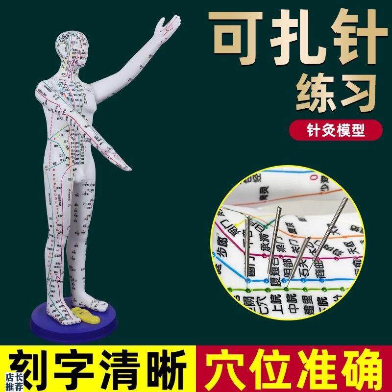 董氏奇穴人体模型仿真大号中w医针灸可扎针十二经络铜人全身穴位
