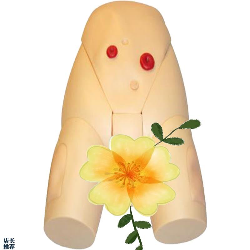 高级男性b导尿模型JY/H17E佳悦科教通