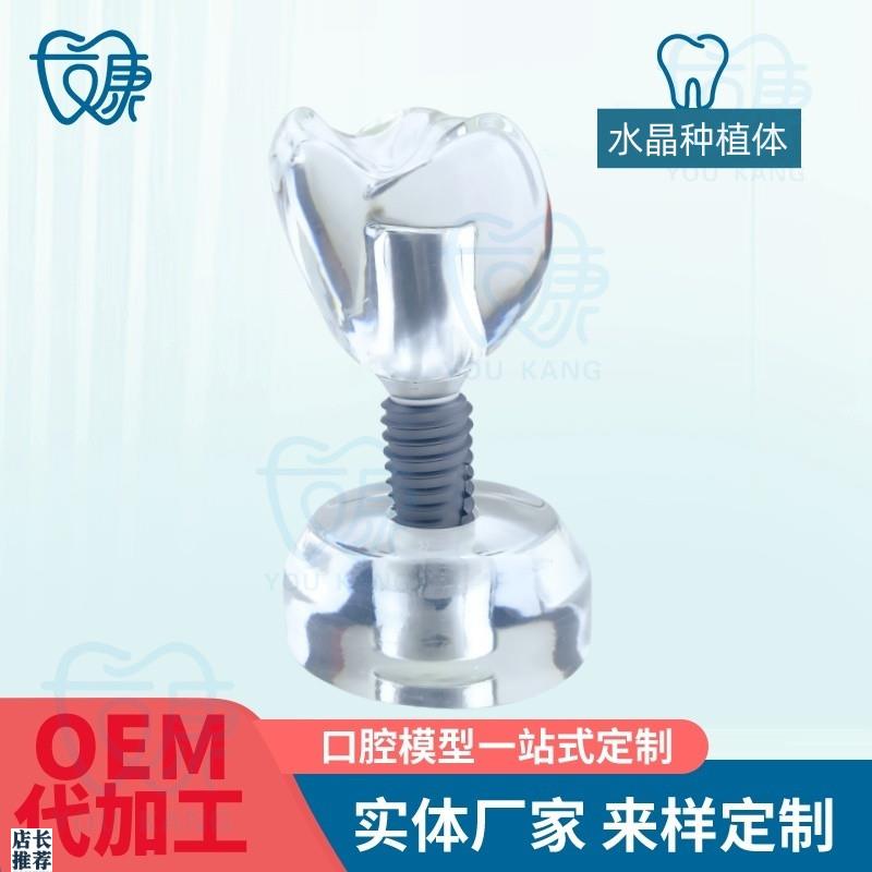 水晶种植体模型透明牙科模型教学医患沟通模型诊室W摆件齿科材料