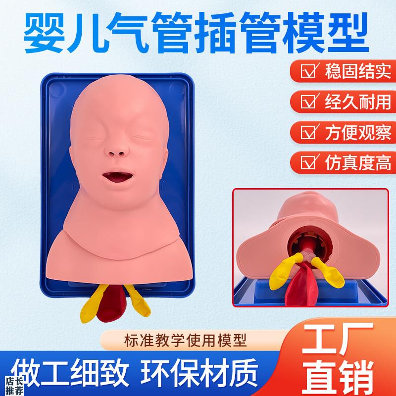 新生儿气管插管模型小儿急救训练假人模特M婴儿气管插管练习模具