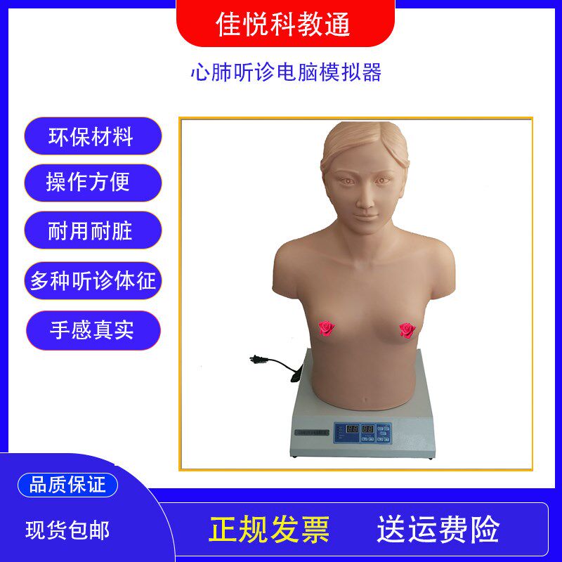 心肺听诊模拟器内k科诊断模拟人心肺触诊训练模型医用教学培训假
