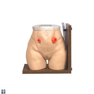 瘘管造口术护理模型结肠回肠造瘘口冲洗教学家政培训训Z练假人模