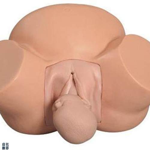 分娩示教模型高级难产示教训练模型妇产科M难产助产分娩教学模型