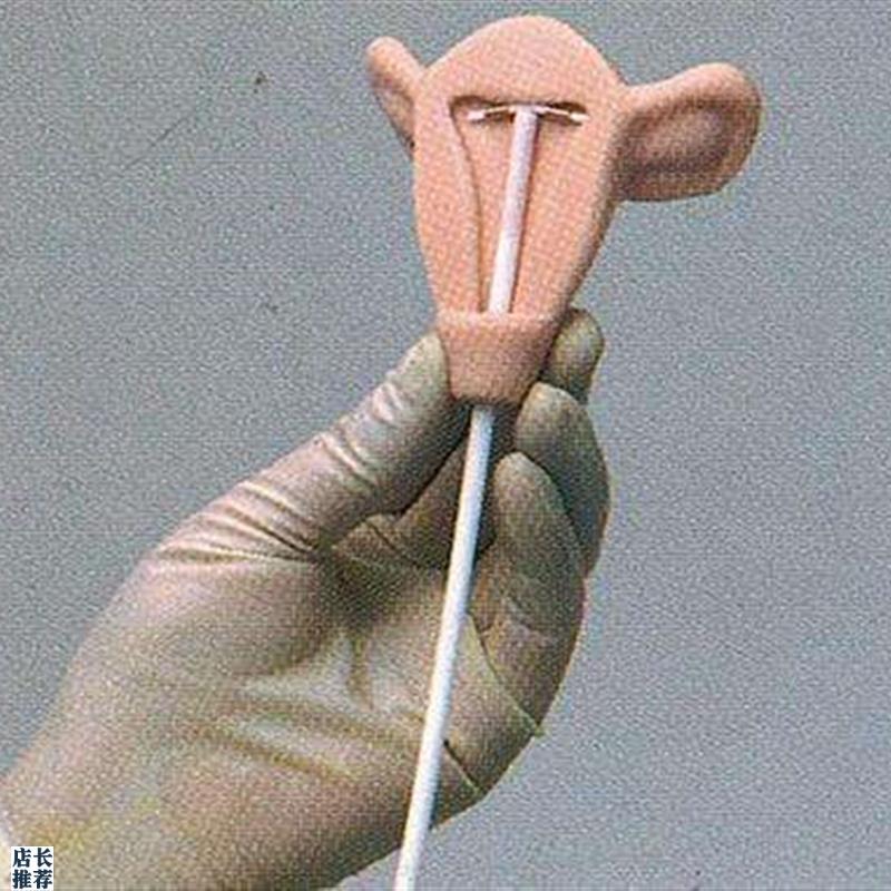 高级宫内避孕训练模型女V性练习模具