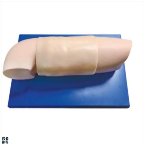 皮下埋入避孕练习手t臂教具皮下埋入指导教学模型