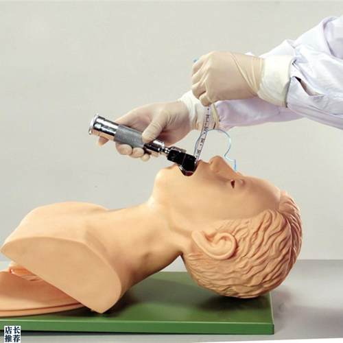 ENOVO颐诺电子气管插管训v练模型(带报警)急救气管插管训练模型I