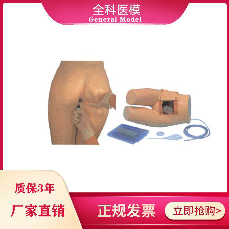 辅助排便和灌肠练习模型医院培训护士训练S模型肛门检查模型