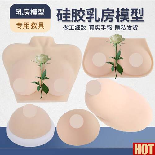 学乳房模型 催乳师培训道具哺乳教学模型 z硅胶假乳房 医学教具