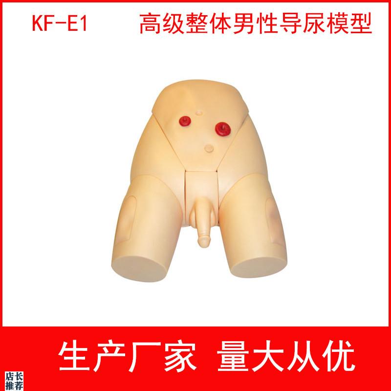 高级整体男女导尿模具,高级整体C男性导尿模型女性导尿训练模型