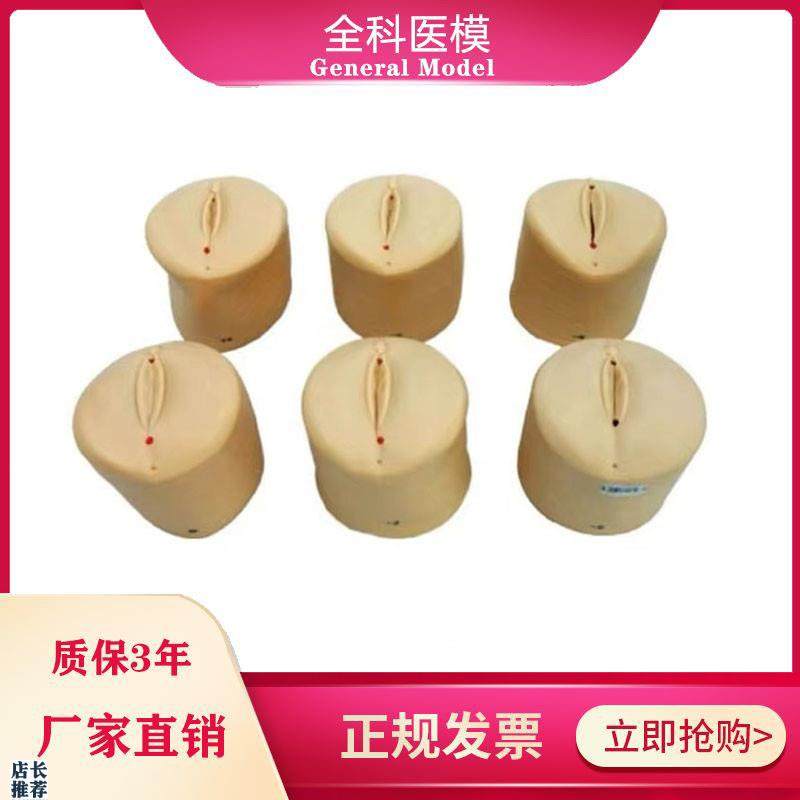 产前宫颈口变化模型宫颈扩张教具分娩产道医学用妇科教Z学模型模