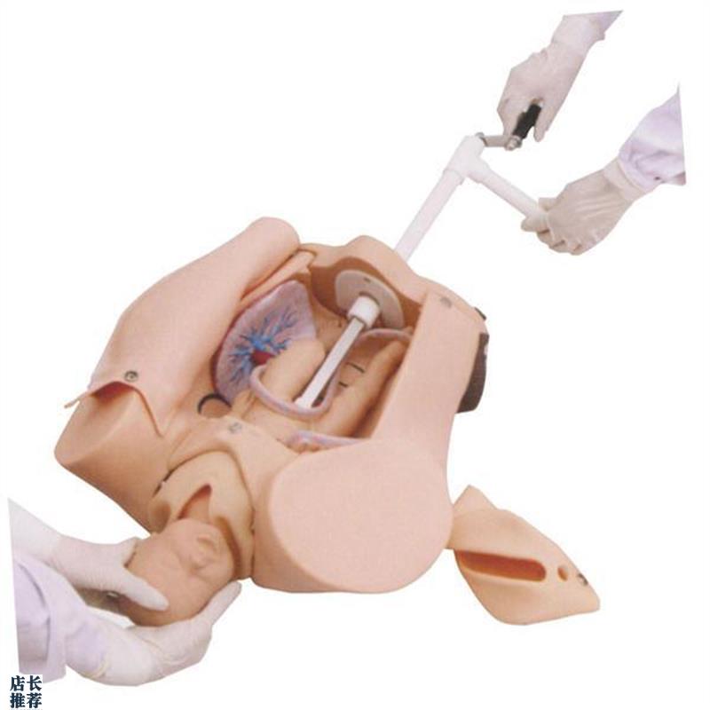 高级手摇分娩机制示q教模型肩难产助产训练模型妇幼保健模具