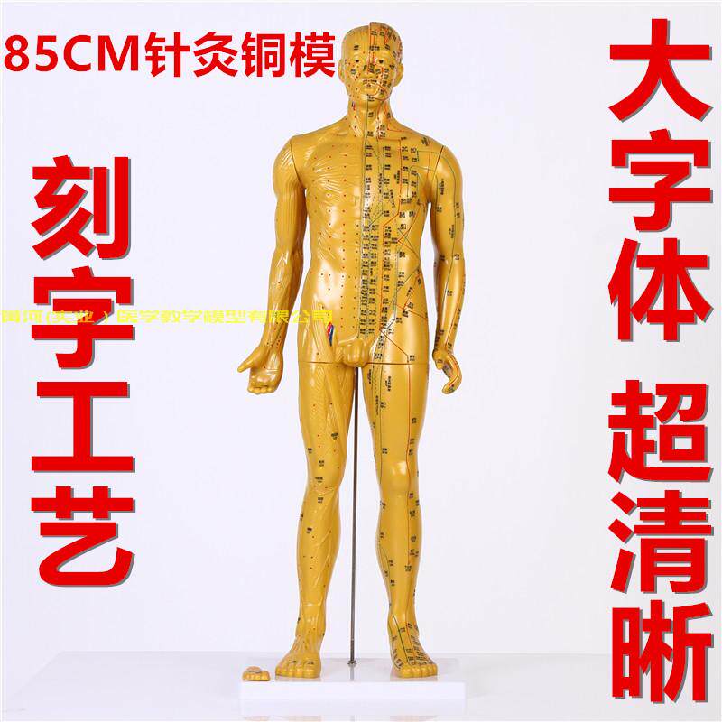 85CM高c人体针灸模型/经络按摩针灸穴位铜人模型/(送三张穴位图)
