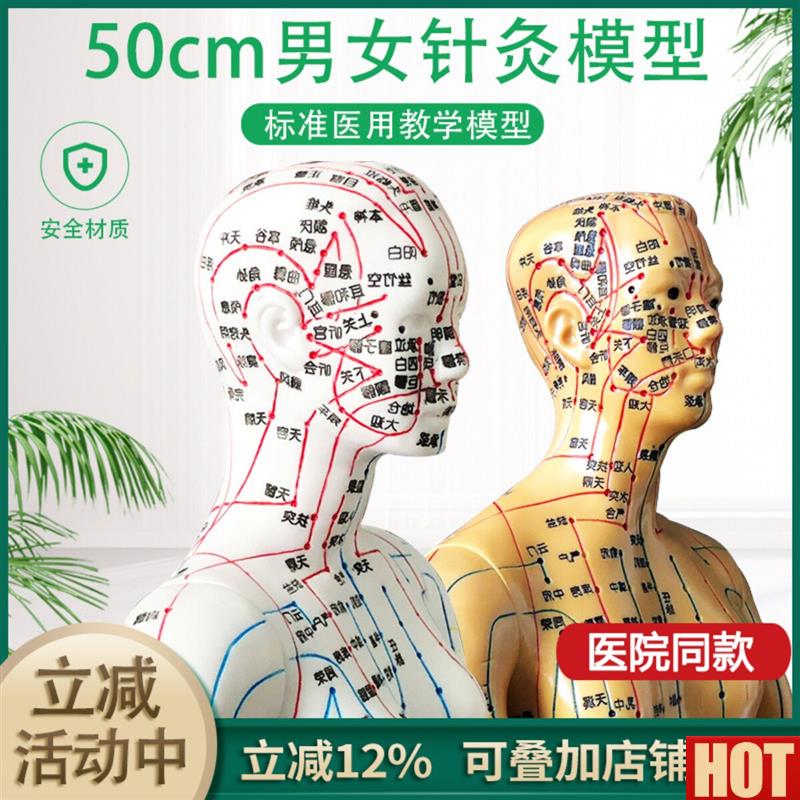 清人体针灸穴位模型经络通铜人刻字中e医教学人体模型男女小人