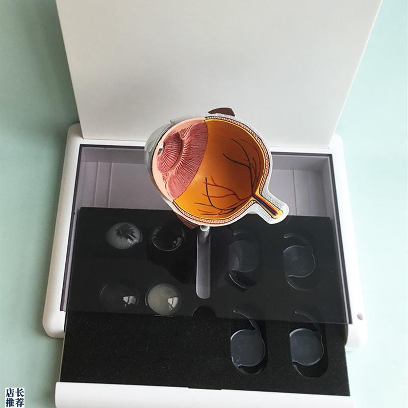 眼睛模型晶片虹膜器官解剖白内C障光学教仪医用医学教学教具