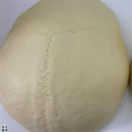 颐诺ENOVOl仿真头盖骨模型树脂材质人体等比大小