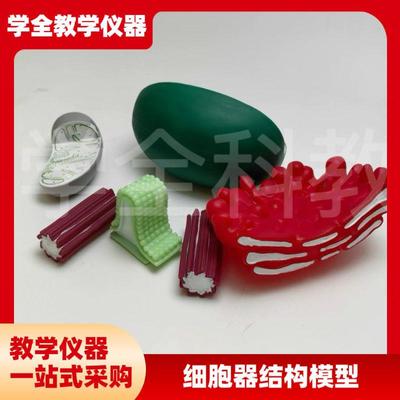 细胞器结构模型生o物教学仪器线粒体叶绿体高尔基体中心体