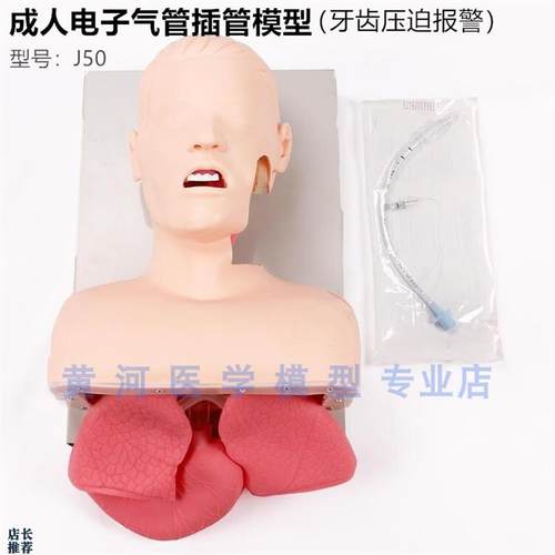 J50成人电子气管插管教学模型人D体急救训练模型(牙齿压迫报警)