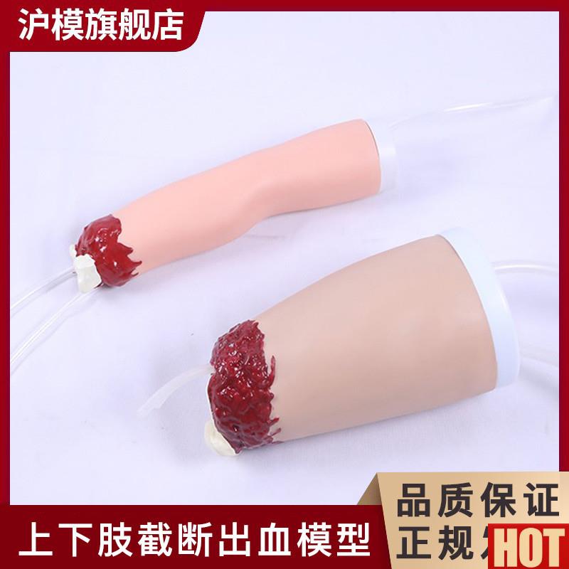 模 上下肢外r伤断肢止血模型控制出血手臂大腿四肢创伤模型HM/D40