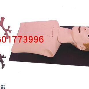 支气管内窥镜训练模型内窥镜I检查模型窥镜检查模型