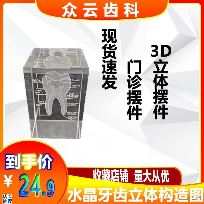 水晶牙齿模型内雕口腔o牙科医学院送医生礼物牙医教学纪念礼品摆