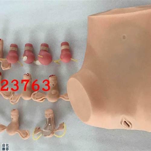 高级妇科综合检查训练模型正常和各类异常子U宫触诊检查模型