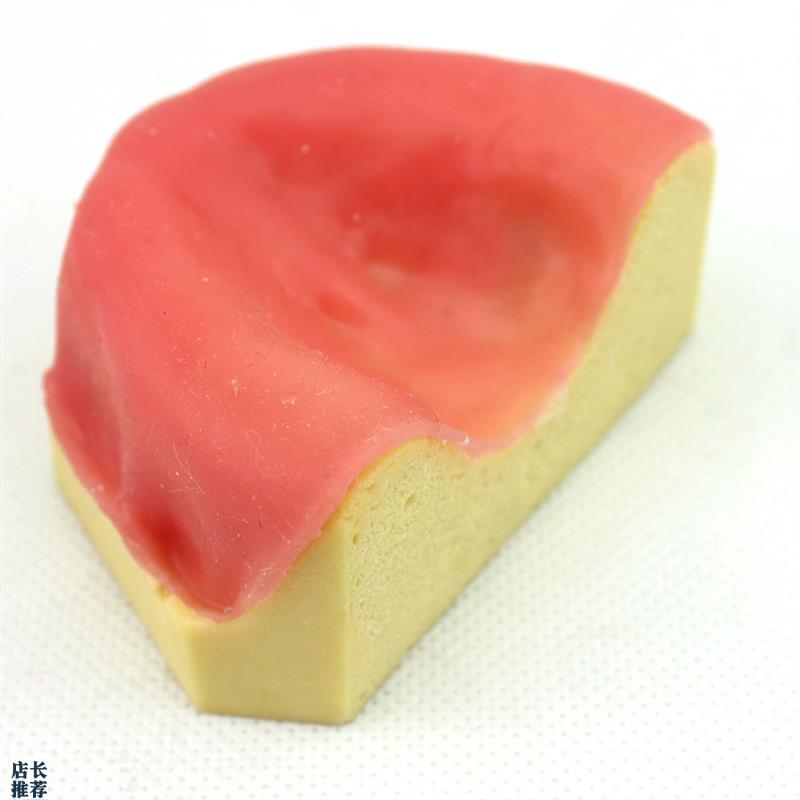 ENOVO颐诺口腔即刻种植模型仿真下颌骨附牙龈模型U种植牙训练培训